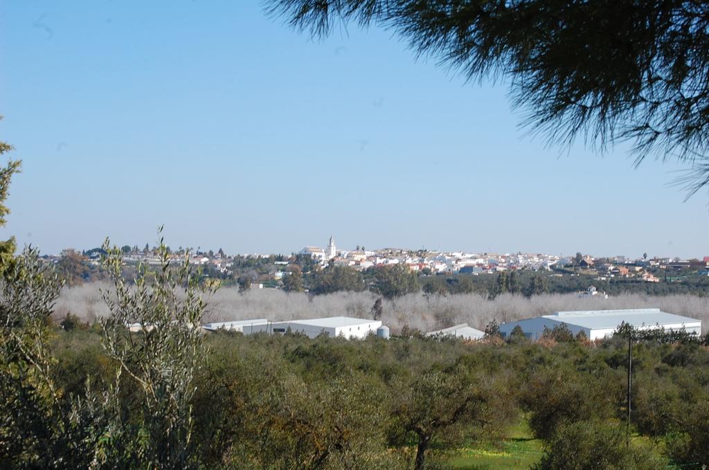 Hacienda Dos Olivos Pension Aznalcázar Buitenkant foto