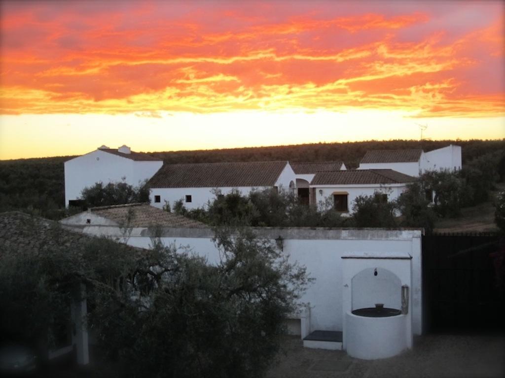 Hacienda Dos Olivos Pension Aznalcázar Buitenkant foto