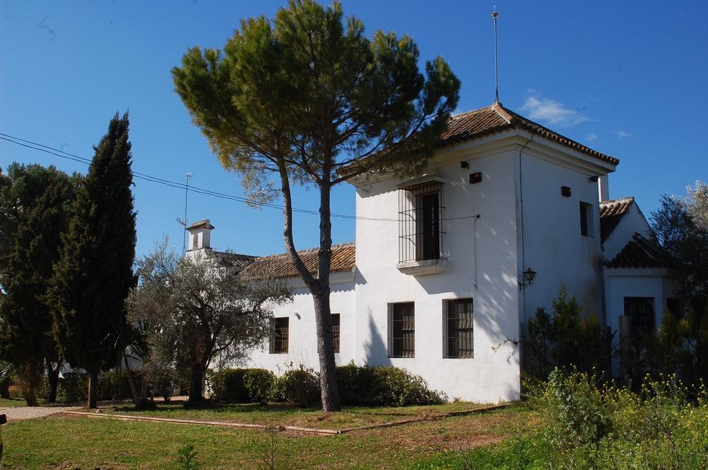 Hacienda Dos Olivos Pension Aznalcázar Buitenkant foto