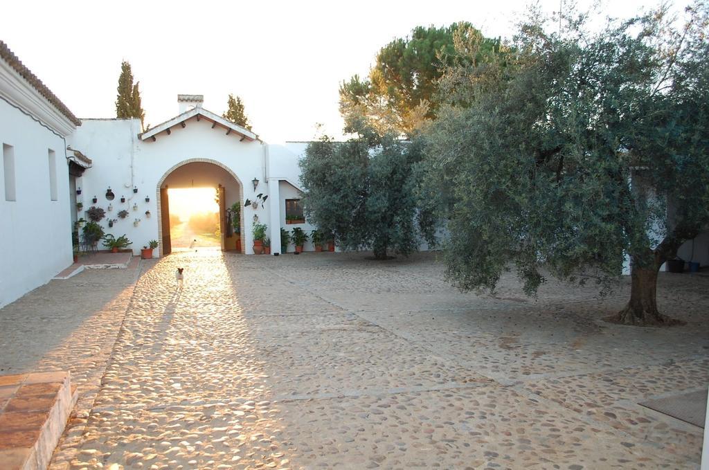 Hacienda Dos Olivos Pension Aznalcázar Buitenkant foto